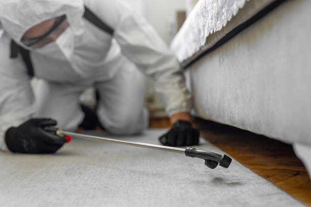 Professional Termite Control technician working in Arnaudville, LA