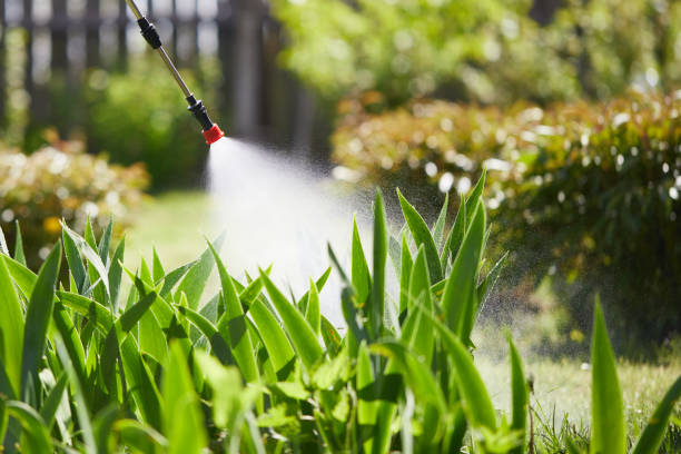 24/7 Emergency Termite Control experts in Arnaudville, LA