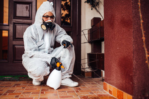 Reliable Termite Control contractor in Arnaudville, LA by Nex Pest Control