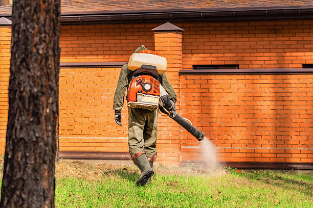 Trusted Termite Control service in Arnaudville, LA - Nex Pest Control